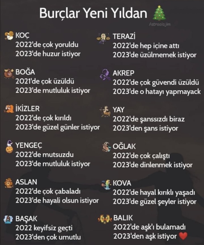Burçların yeni yıldan beklentisi ne?