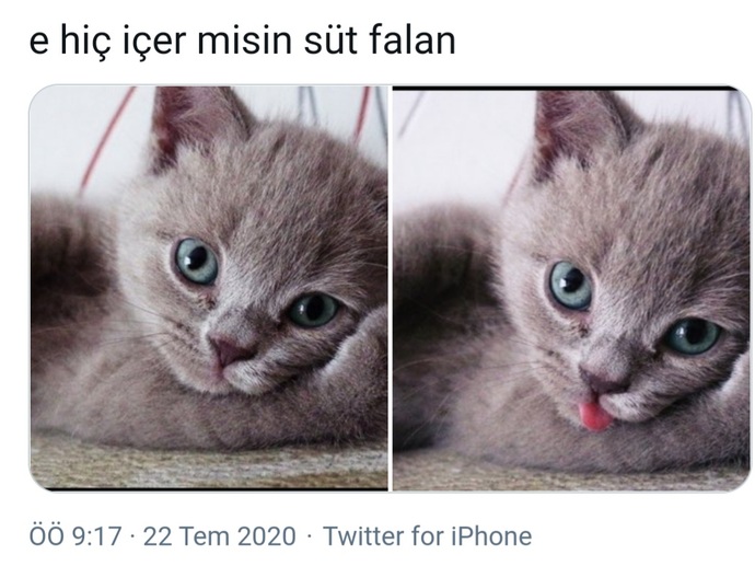 Sabah uyandığınızda sizi nasıl bir manzara karşılıyor?