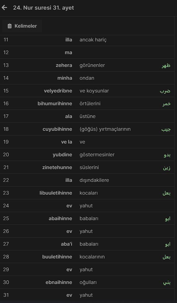 Nur 31