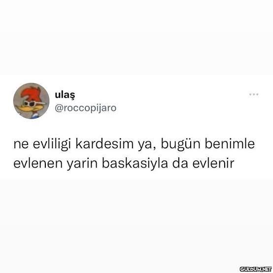 Mantıklı gibi fjsk