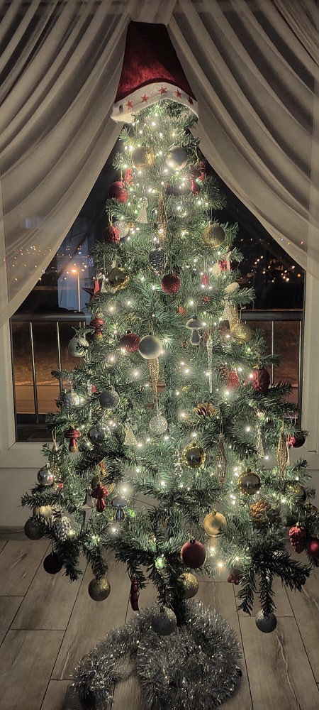 Kim benimle yılbaşı ağacı kurmaya gelir 😍🎄☃️?