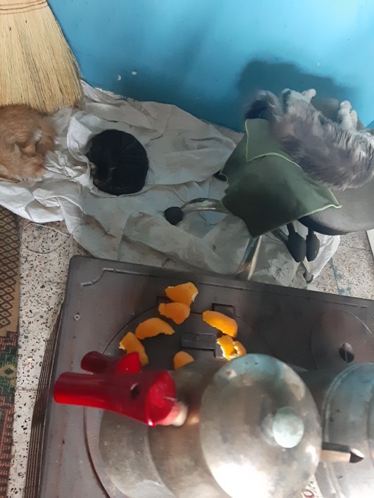 Anlık durum alalalım kimler nerde ne yapıyor ?