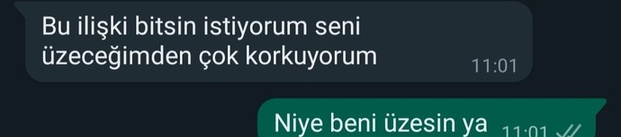 Bir Erkek Niye Böyle Yazar?