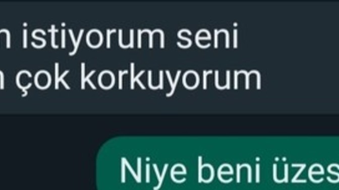 Bir Erkek Niye Böyle Yazar?