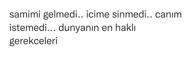 Sizin gerekçeleriniz neler?