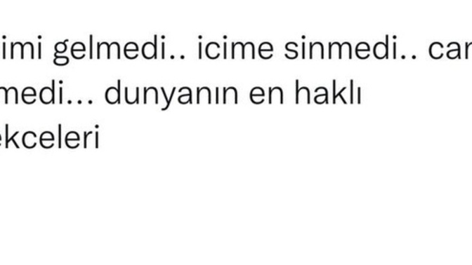 Sizin gerekçeleriniz neler?