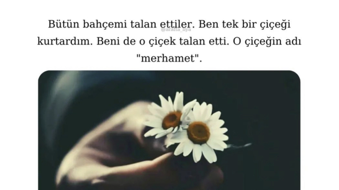 Seni talan edebilen şey nedir?