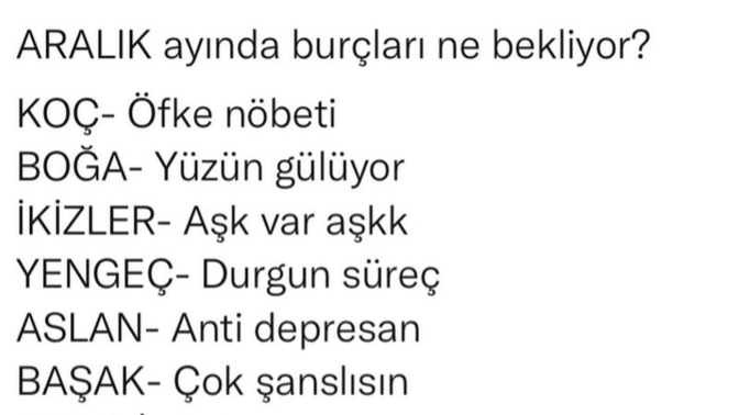 Aralık ayında senin burcunu ne bekliyor😄?