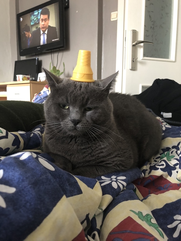 1 tane var yeter 