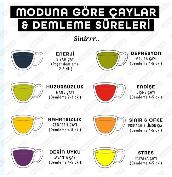 Hangisi moduna göre ii gelir?