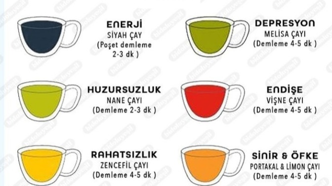 Hangisini istiyosun?