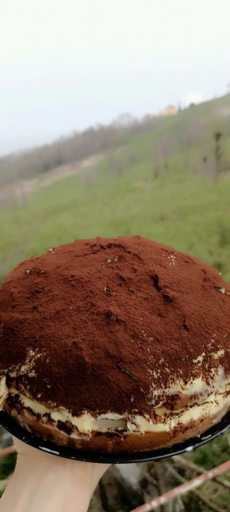 Muzlu tiramisu olur mu?
