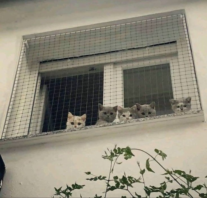 Dışarıdaki sesler azıcık yükseldiğinde annem 😂