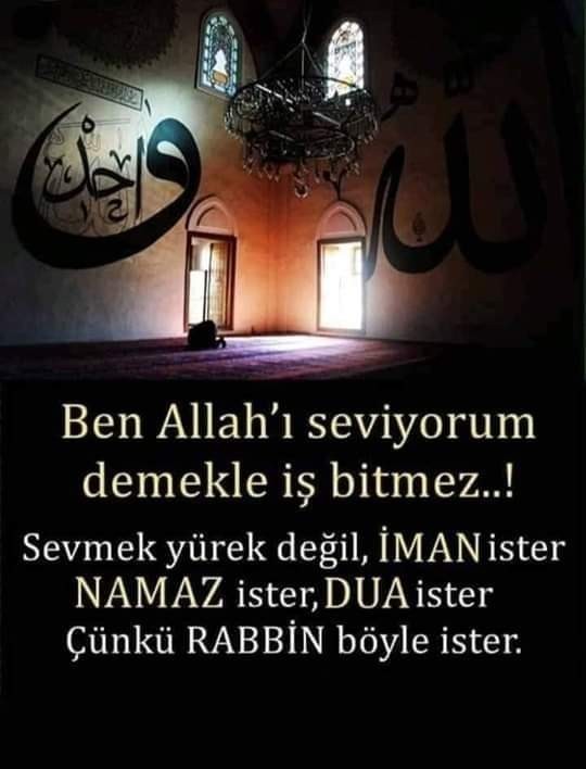 Yaş 30 ve kendimce okumayı, öğrenmeyi kitaplarla haşir neşir olmayı seviyorum ama bir sorun var?