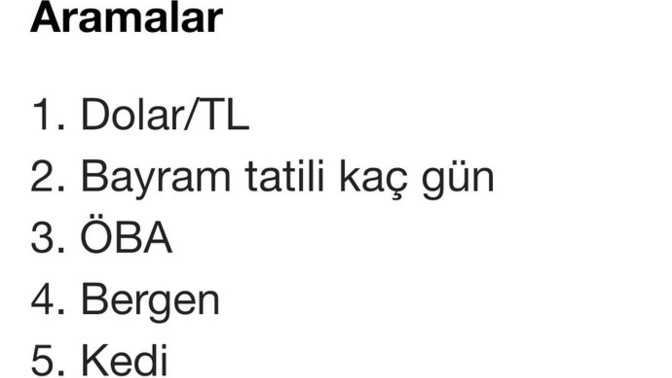 Google 2022'de Türkiye'de en çok aranan kelimeleri duyurdu. Siz ne düşünüyorsunuz?