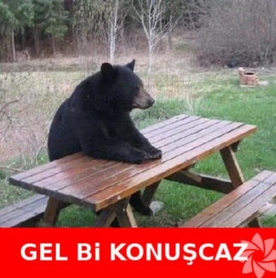 Evli olup hala arayışta olan insanlar hakkında ne düşünüyorsunuz?