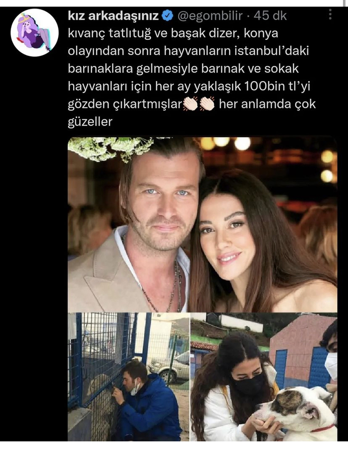 Bunca sevinecek insan varken köpeğe aylık 100 bin TL veren insanlar iÇin ne düşünüyorsunuz?