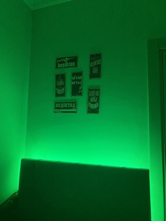 Arkadaşlar sizce hangi renk ?