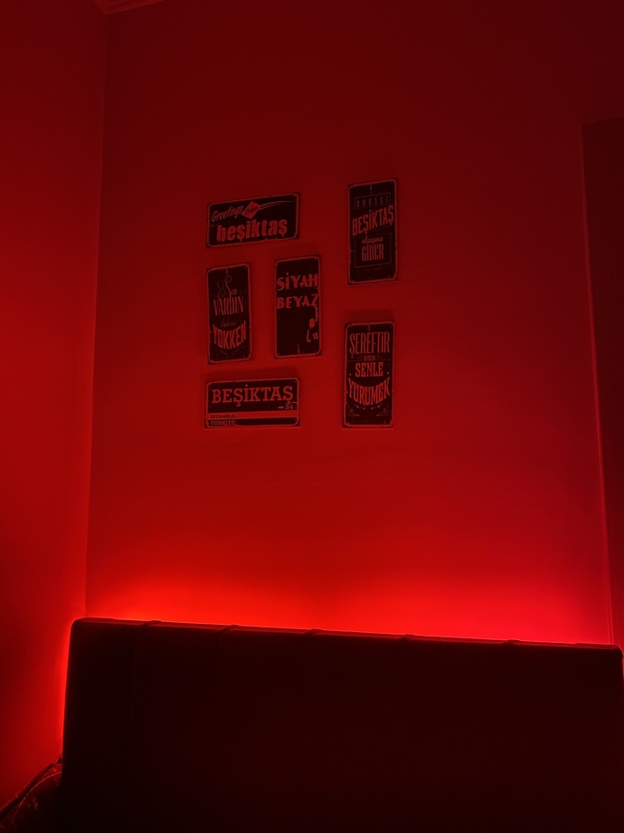 Arkadaşlar sizce hangi renk ?