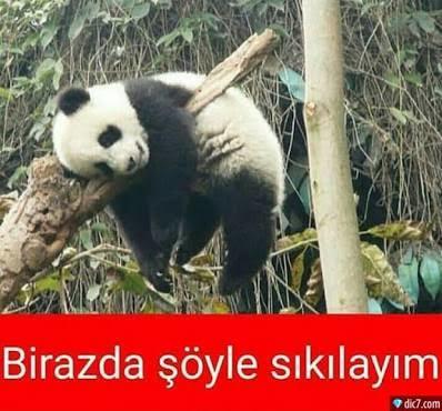 #donducakss