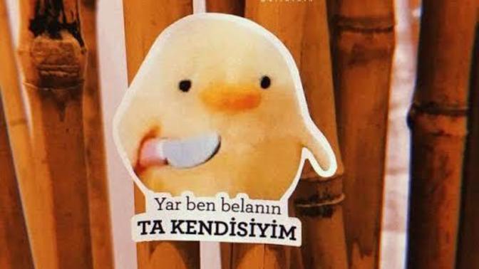 Başınıza sık sık bela açar mısınız?