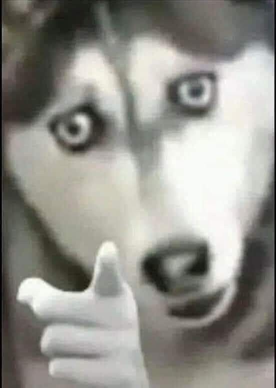 Herkes kafasına göre bir foto atabilir mi?