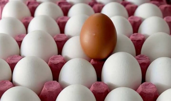 Marketten alınan yumurtanın ömrü var mı?