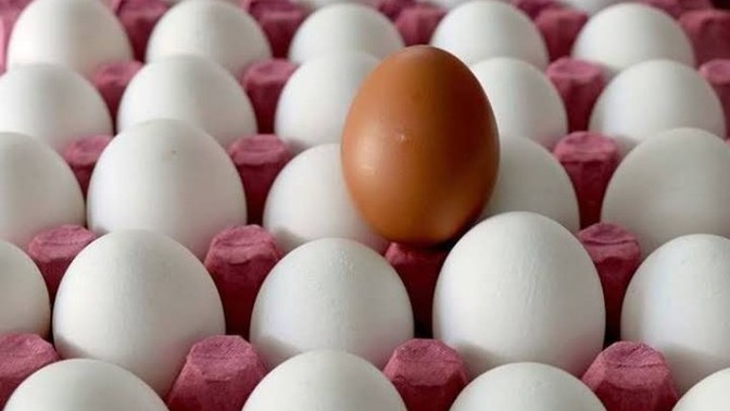 Marketten alınan yumurtanın ömrü var mı?