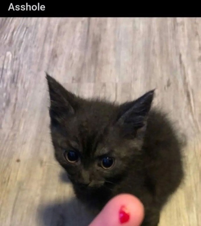 En yakın arkadaşım dediğiniz insanın arkanızdan konuştuğunu duysanız mesafe koyar mısınız?