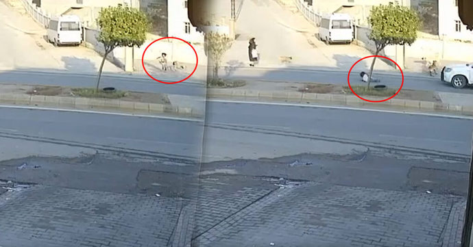 Şanlıurfada okula giden kız çocuğuna köpekler saldırdı! Köpeklerden korkuyor musunuz :(?