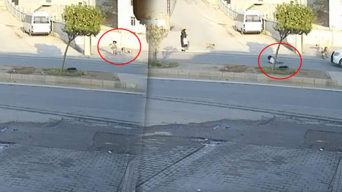 Şanlıurfa'da okula giden kız çocuğuna köpekler saldırdı! Köpeklerden korkuyor musunuz :(?