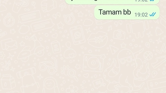 WhatsApp, Kendi Kendine Mesaj Atma Özelliğini Yayınladı ne düşünüyorsunuz?