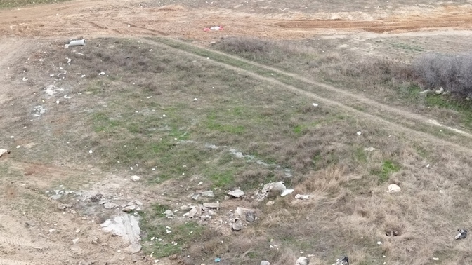 İktidar muhalefet bu başı bos köpekler konusunda neden hiç bir şey yapmıyor?