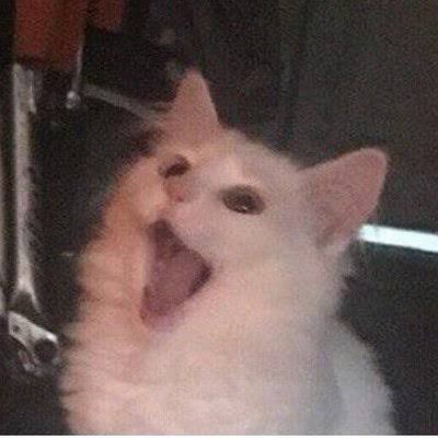 İnsanların düşüncelerini okuyabilmeyi mi yoksa istediğin bir bedende yaşayabilmek mi isterdin?
