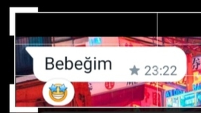 Sizi en çok etkileyen sevgi sözcüğü hangisidir?
