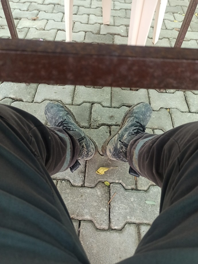 Sabah sabah sizede böyle tatlı bir misafir geldi mi 😍?