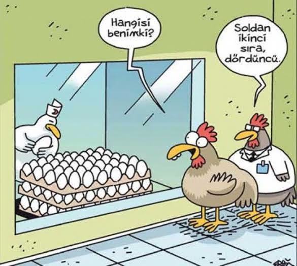 3 tavuk 3 günde 3 yumurta yumurtlarsa, 15 tavuk 15 günde kaç yumurta yumurtlar?