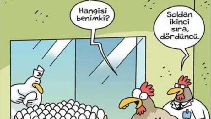 3 tavuk 3 günde 3 yumurta yumurtlarsa, 15 tavuk 15 günde kaç yumurta yumurtlar?