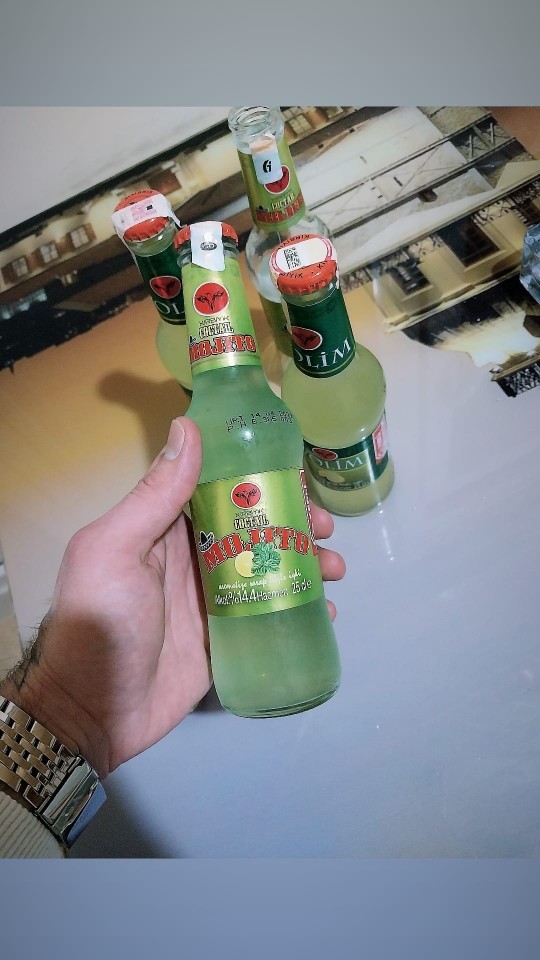 Volim sever misiniz?