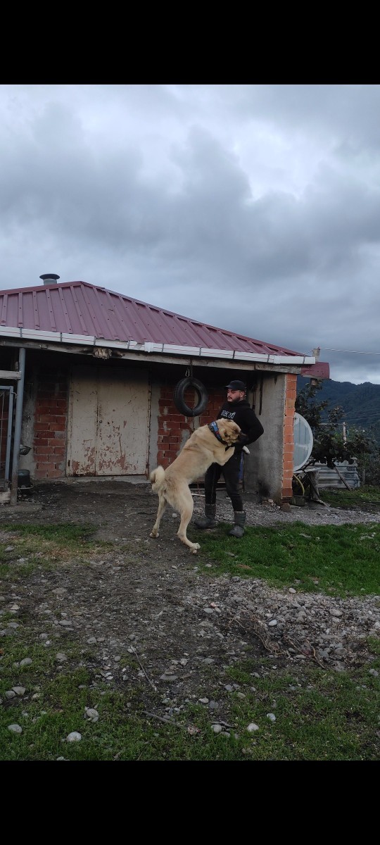 Siz en çok ne yaparken huzur buluyorsunuz?
