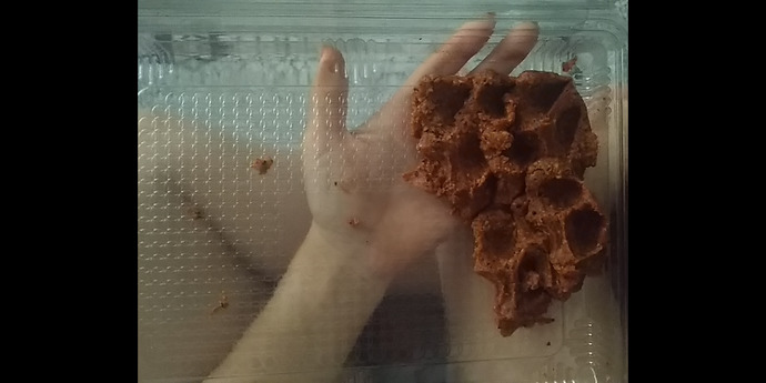 Üşendiğimden kahvaltı niyetine dolaptaki çiğ köfteyi yemeye başladım 😂 Hangi seviye bu?