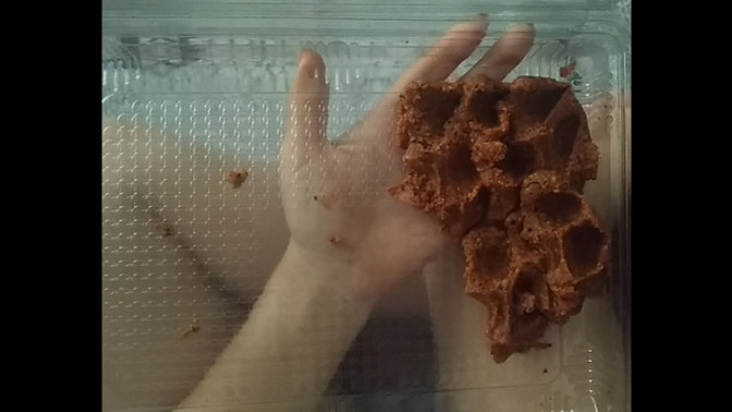Üşendiğimden kahvaltı niyetine dolaptaki çiğ köfteyi yemeye başladım 😂 Hangi seviye bu?