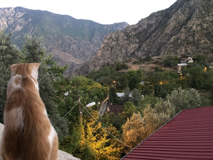 Bugün modunuz nasıl?