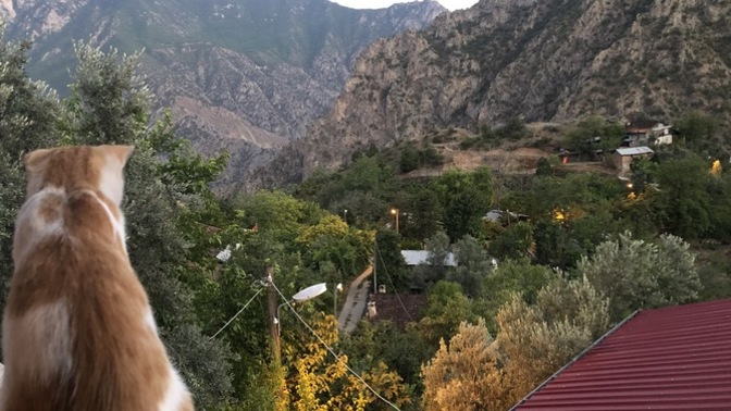 Bugün modunuz nasıl?