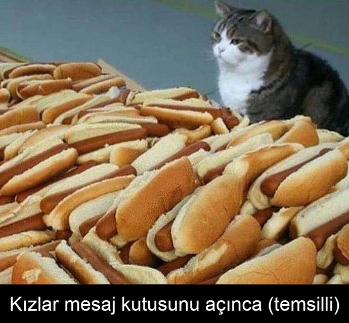 Bir kadının seçme hakkı olabilmesi için ne olması gerekir?