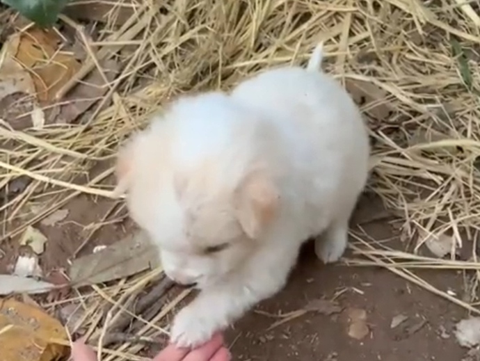 Şu an aklınızdakini yapıyor olsaydınız, ne yapıyor olurdunuz?