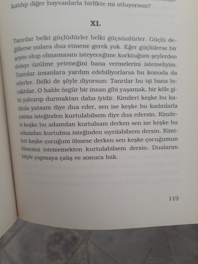 Olayların sebeplerine mi odaklanıyorsunuz yoksa sonuçlarına mı?