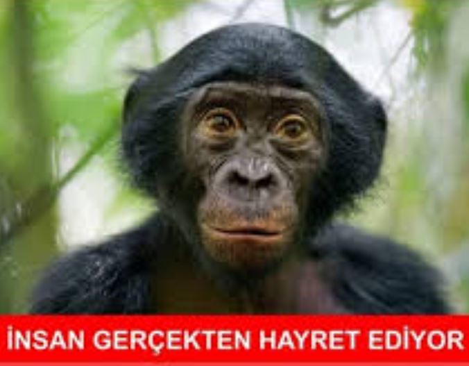 Kızlar bu soğukta bile neden şort mini etek giyer?
