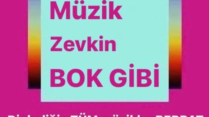 Mantıklı mantıklı konusup beni delirtmesinden sıkıldım ya kapatılsın ya da hayatımdan tamamen cıksa olmaz mı?