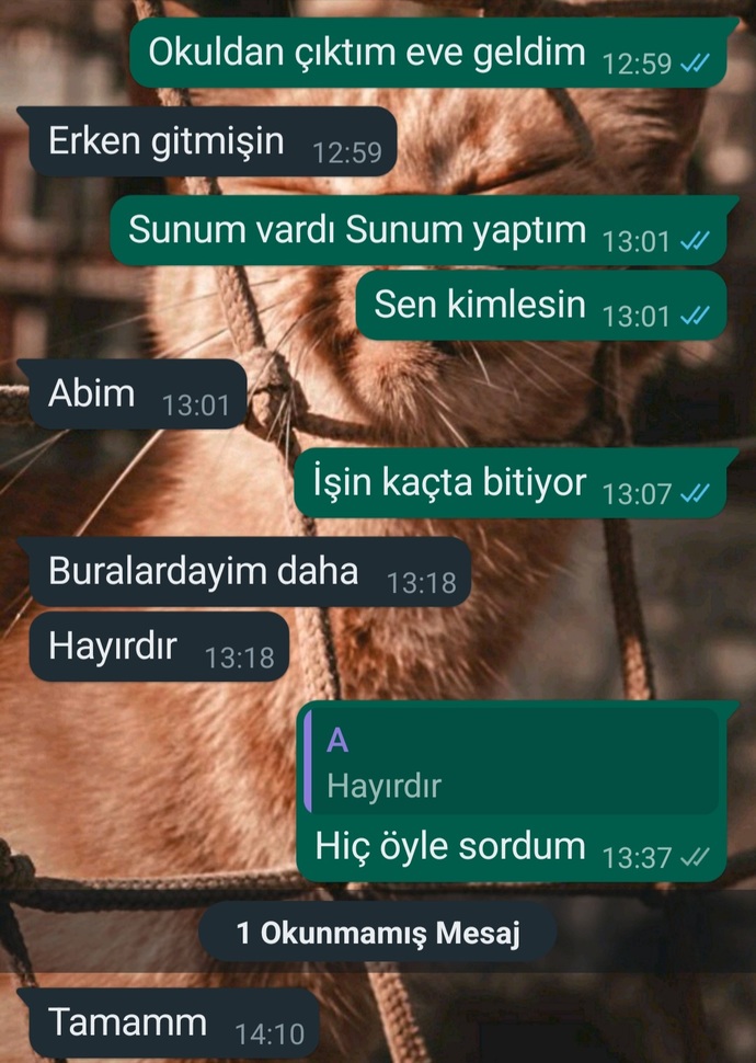 Ondan hoşlanıyorum oda benden sevgili degiliz muhabbeti uzatmwk icin yazabililirim?